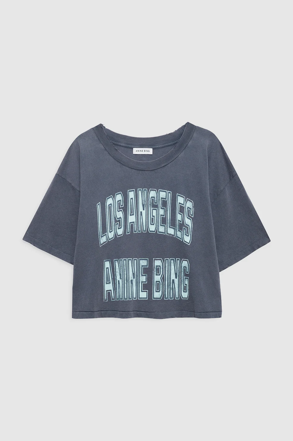 2272-johnny-cropped-tee-washed-grey-3.webp Johnny Cropped Tee - Washed Grey